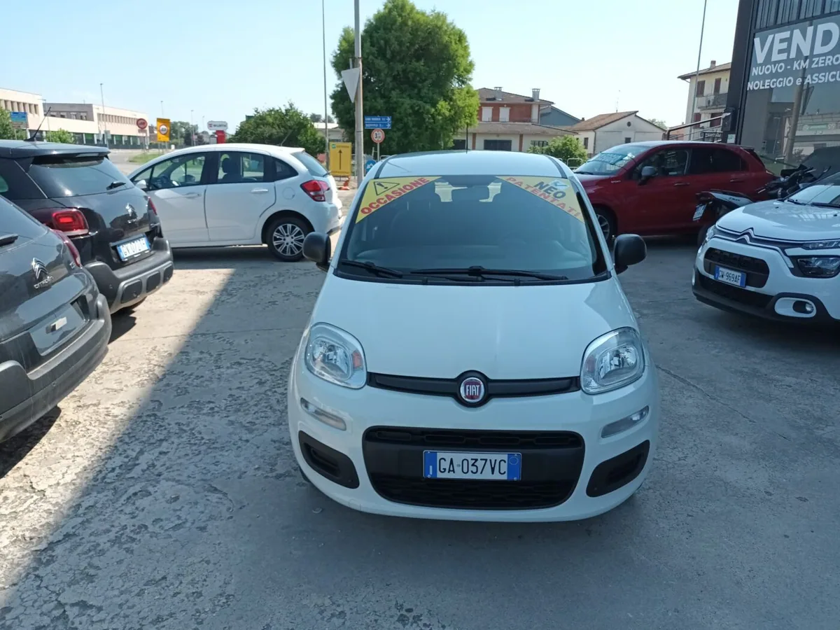 Fiat  Panda 1.2 Easy No vincolo finanziario neopatentati